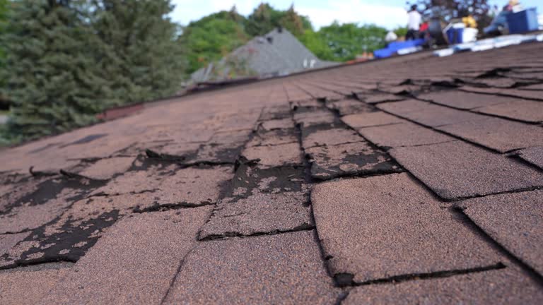 Best Roofing for New Construction  in Highland Heights, OH